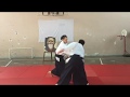 Patrick dignef et alex walnier aikido