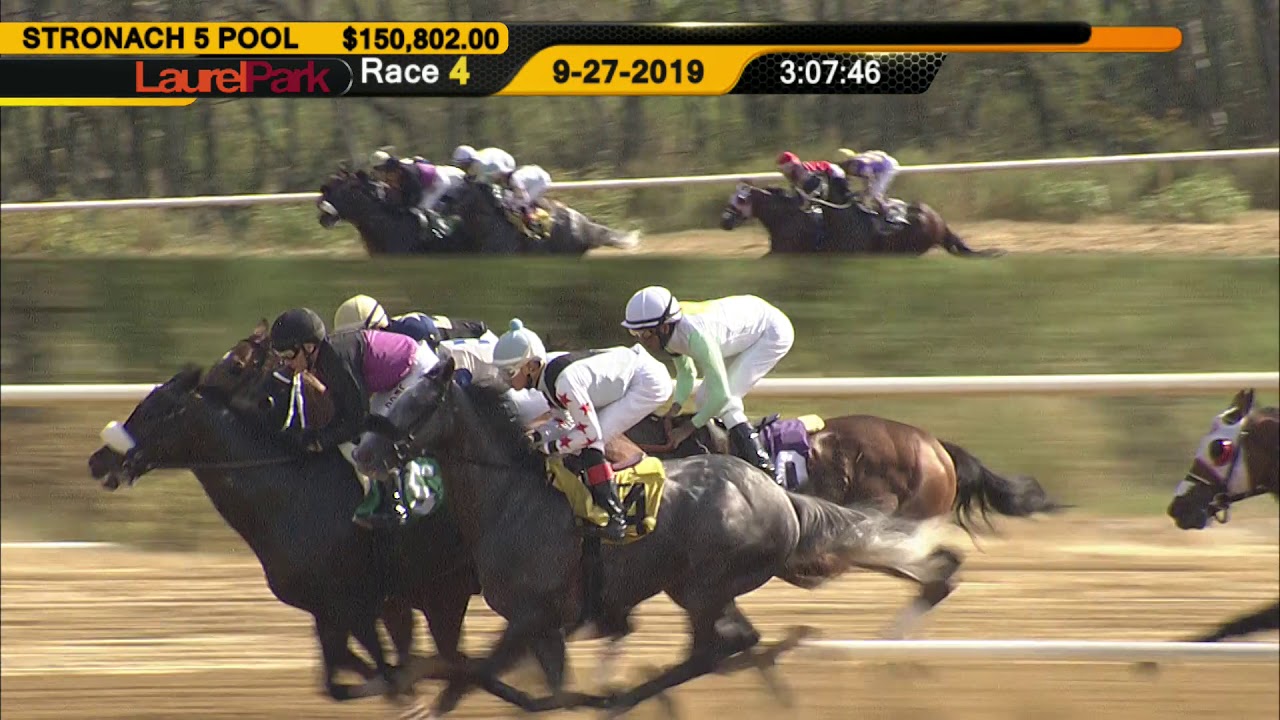 Equibase Race Results Summary