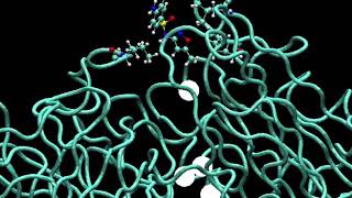 Md Simulation Sulphamethoxazole To Mutated Laccase