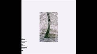 OBSERVATORIES - Our Recently Acquired Knowledge [2023 / Full Album]