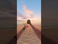 Coconut catch 🥥🌴 #insta360x3 #pointofview #shorts