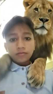 Download lagu #remix #companydjremix #djremix #bass #dj #pawarholakhalidhobijatimere #duet #automobile #love #answ