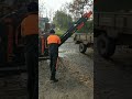 Efficient Firewood Cutting with Schneidspalter & Forsttechnik 🌲