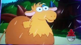 So That Camel Doesnt Belong In The Rain Forest