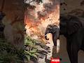 जब जंगल में आग लगी… असली हीरो कौन निकला? 🐘🔥 #shorts