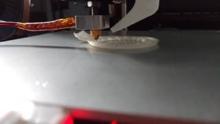 Anet A8 : Warping and print pushed by the nozzle