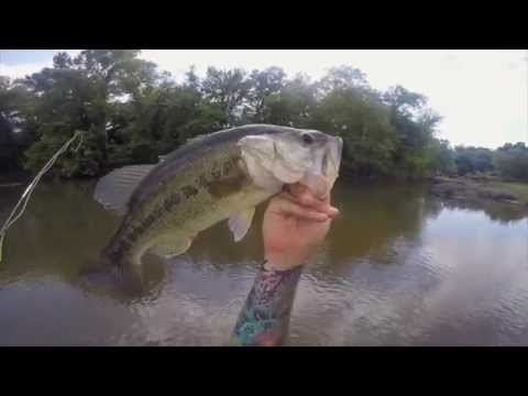 Fly Fishing For Largemouth B You Fly Fishing For Largemouth B