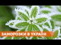 Минусовая температура и снег на западе Украины: ожидаются заморозки