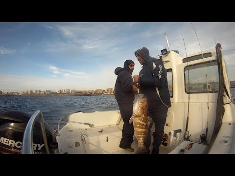 Traina alla cernia bianca – Pesca con il calamaro vivo