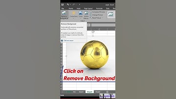 Remove Background of Picture  In Excel #exceltips #excel #excelformula #shortsvideo