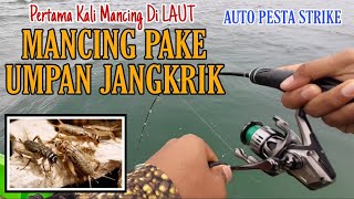 GAK NYANGKA !!! Pertama Kali Mancing di Laut Pake Umpan JANGKRIK | Auto Pesta Strike