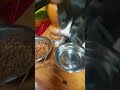 el.nuevo michi