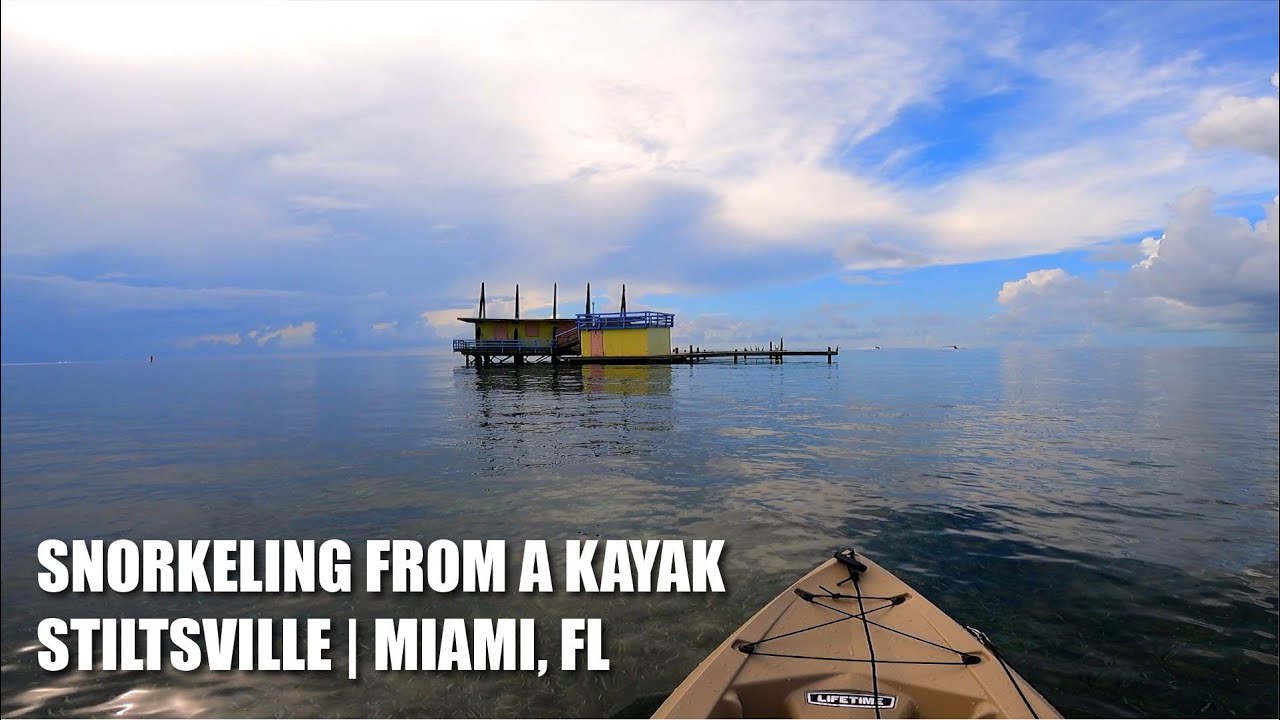 Snorkeling from a Kayak Stiltsville, Miami FL. YouTube