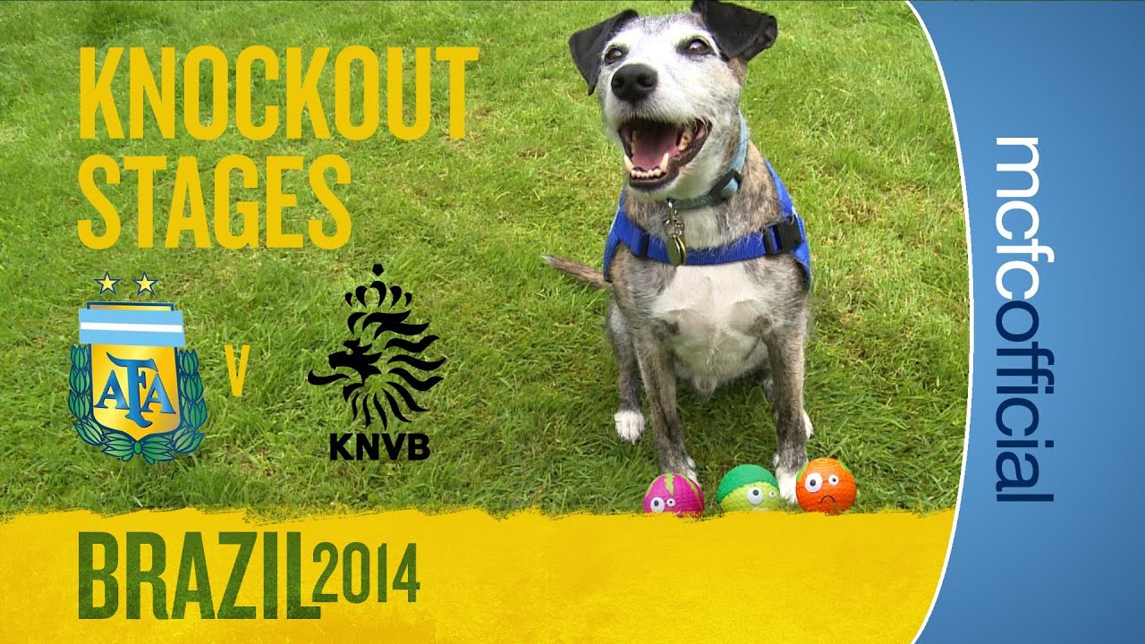 man city owner DOUGIE THE DOG PREDICTS | Argentina v Holland World Cup Semi-final