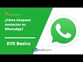 ¿Cómo bloquear personas/contactos en WhatsApp? - EVD Basics