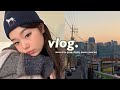 weekly vlog: Seoul trip, kimchi fried rice, vaccine, picnic etc