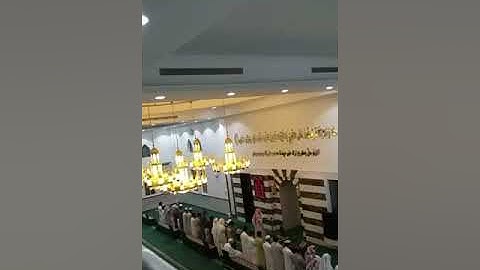 تلاوة خاشعة من سورة الشعراء بصوت المقرئ الشيخ عمر بن حسين باعيسى حفظه الله.