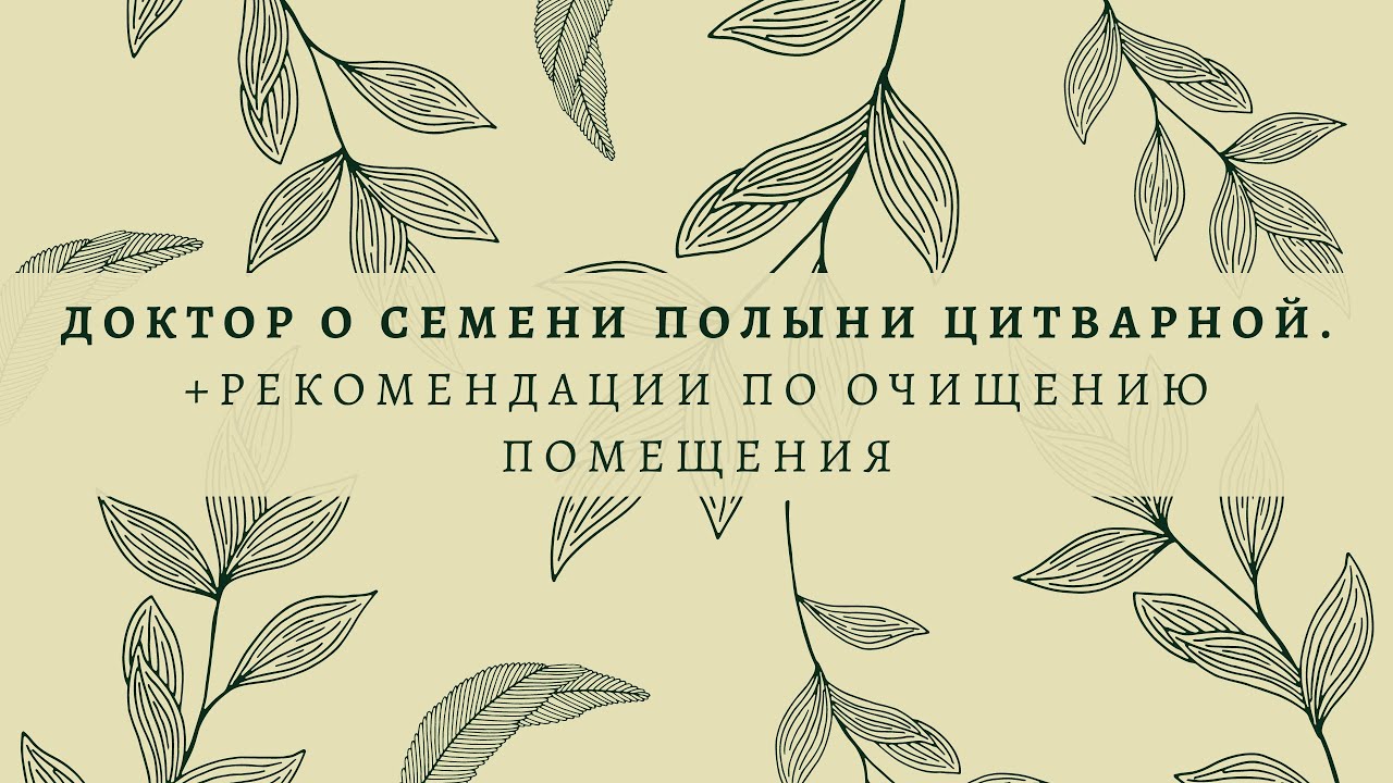 Доктор о семени полыни цитварной + рекомендации по очищению помещения