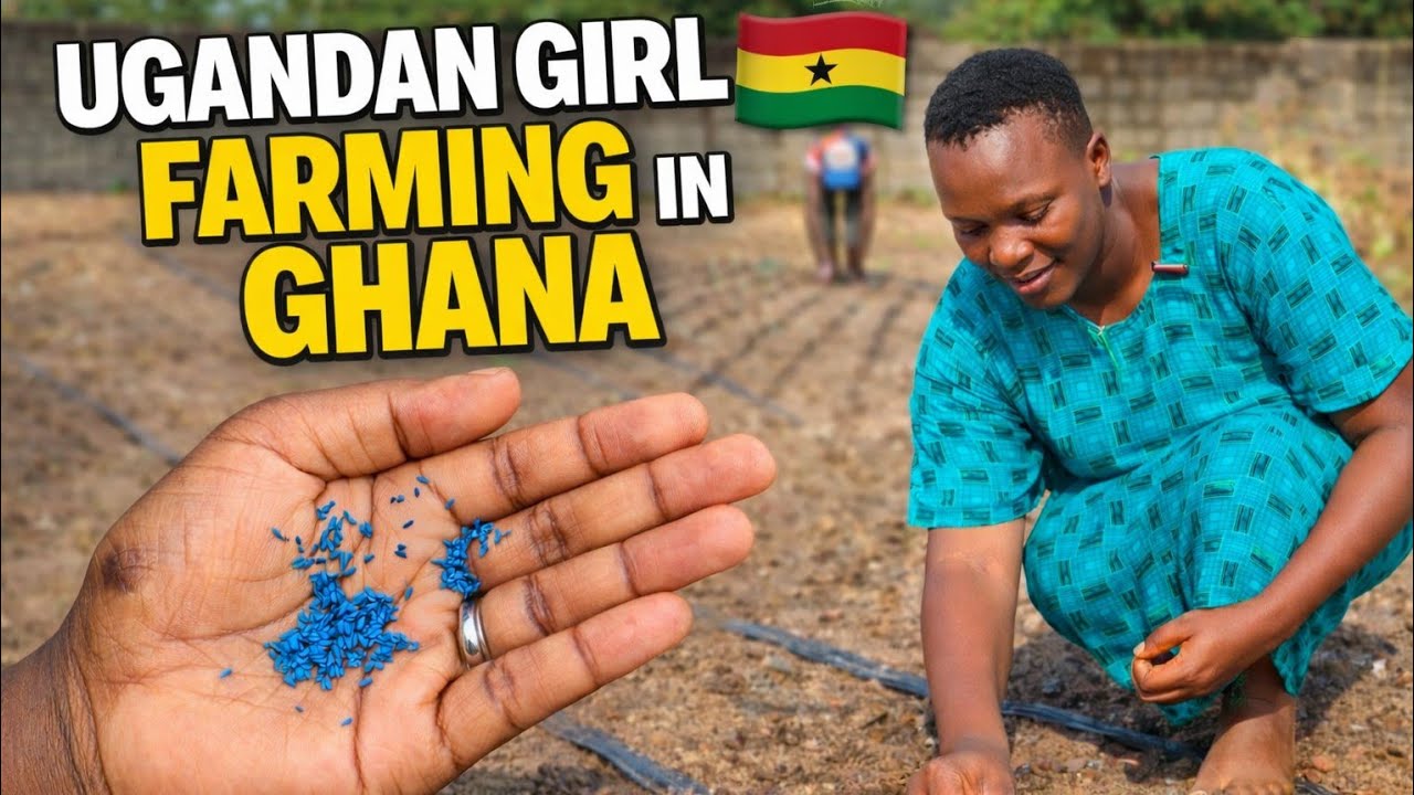 Девушка из Уганды 🇺🇬 Фермерство в Гане 🇬🇭 | Жизнь в регионе Кета-Волата, Гана 🇬🇭, Западная Африка 🌍