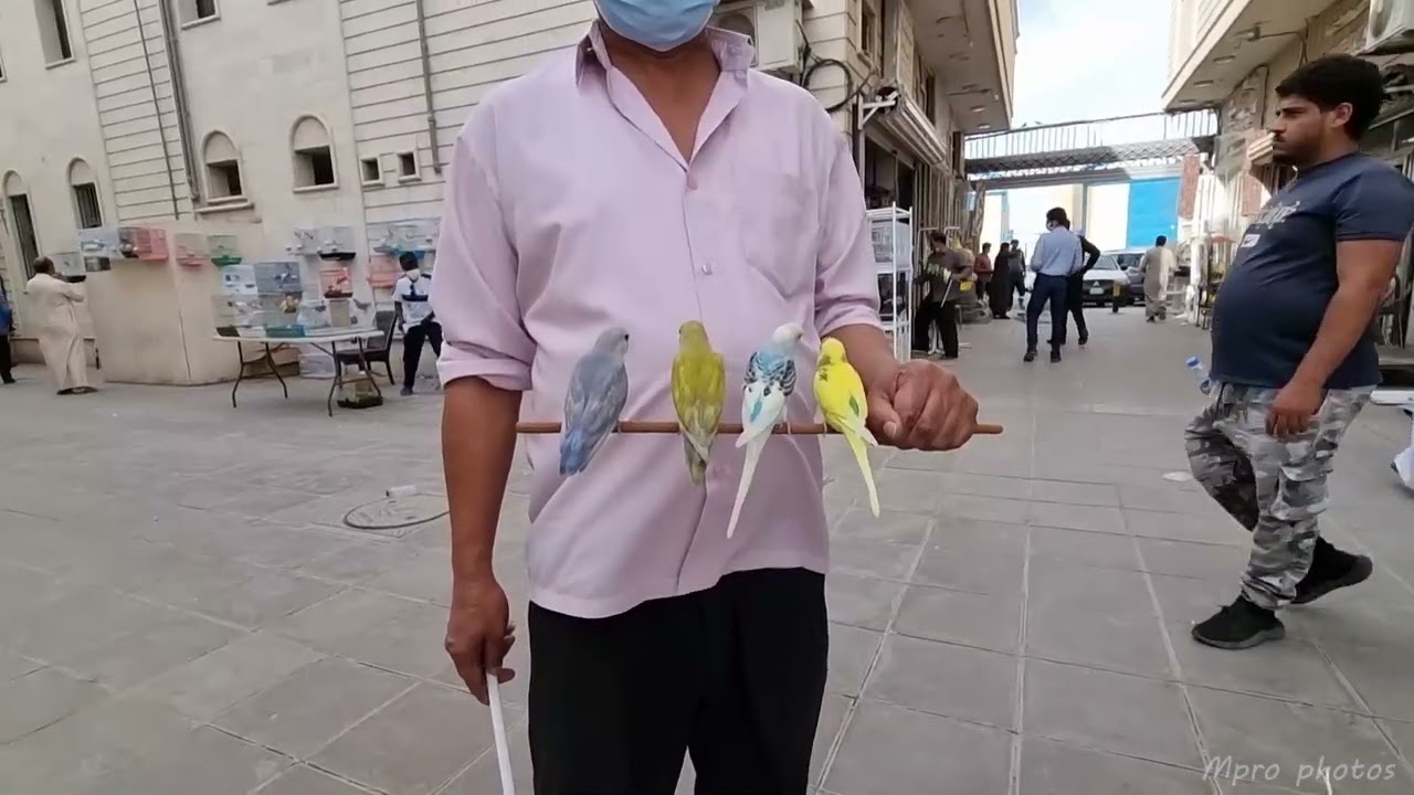 وثائقي سوق الطيور بالرياض