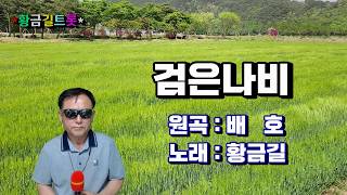 Cover 황금길 - 검은나비  (원곡  배호)