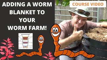 VIDEO 8: Adding a  Worm Blanket to Your Worm Farm VIDEO COURSE