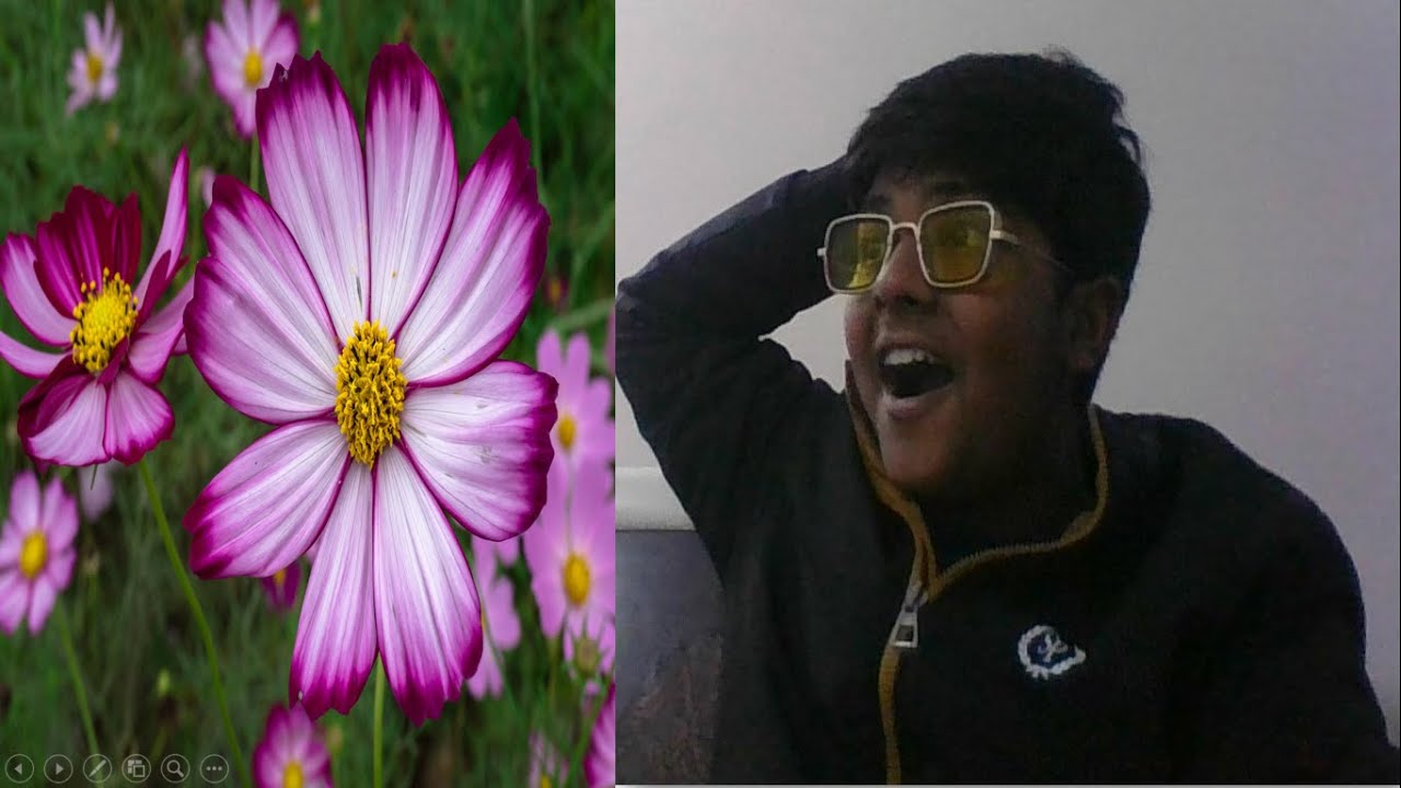 SEXUAL REPRODUCTION IN FLOWERNG PLANT PART 1