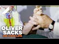 The Bronx Hospital | Oliver Sacks: His Own Life - Clip | Altitude Films