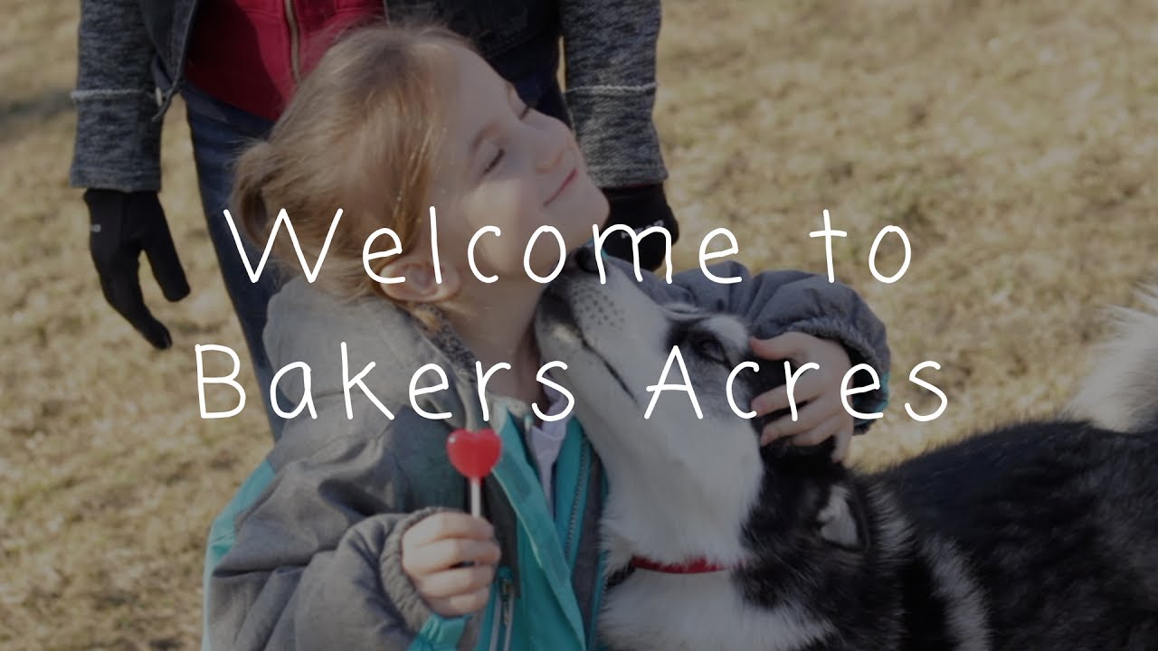 A Dog Trainer's Job Bakers Acres K9 Academy YouTube