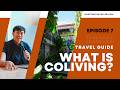 What is coliving 2023 travel guide for digital nomads and travellers
