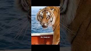 Pis Brave Struggle To Tame Richard Parker Survival At Sea