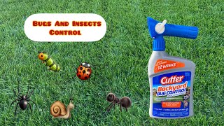 Revealed! The Secret To A Bug-Free Lawn!
