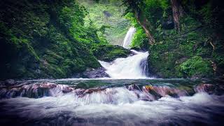 10 Hours Sounds of a forest stream.  Relaxation, ambient white noise for sleeping, sleep sounds.