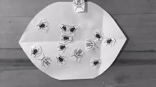 LIfecycle of Aphids