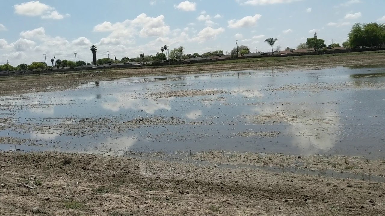 Lake Lemoore YouTube