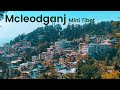 Mcleodganj - a Walk through Vibrant Market from the Mini Tibet ༀ  in India 🇮🇳