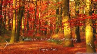 20+ Autumn Quotes' \/ Autumn Vibes \/ Fall Ambience \/ WhatsApp dpz