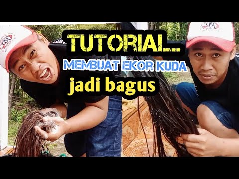 Video: Cara Mudah untuk Menjauhkan Ekor Kuda Sintetik dari Tangling: 14 Langkah