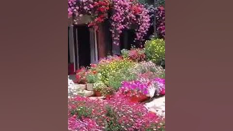 💗سورة الإنسان بصوت ملائكي ماشاء الله💗