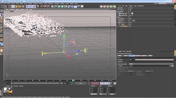 Reveal Effect // C4D Tutorial