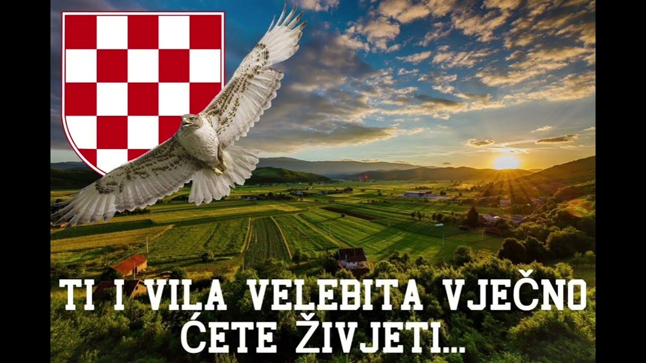 Vječni Sokol