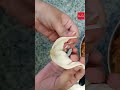 Easy way to fold #momos #moulding #momos #shape #dumplings #folding #youtubeshorts #youtube #shorts