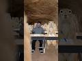 POV: You're Learning How to Speak Prairie Dog...