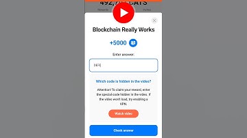 Blockchain really works.cats video code.6 January 2025.#cats #cat #2025