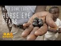 Need some Good Luck?? Horse Eye Beads with Coppy and Ratty