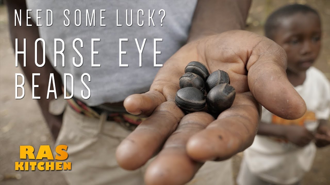Need some Good Luck?? Horse Eye Beads with Coppy and Ratty