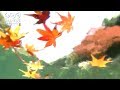 ショパン ノクターン第2番　紅葉　Chopin Nocturn No 2,  Autumn colors
