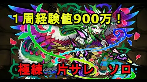 تحميل パズドラ ランク上げ ソロ