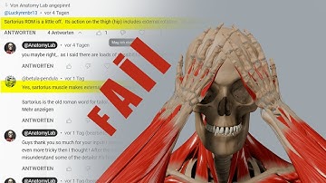 Hip Flexion Fumbles: Setting the Record Straight on the Sartorius Muscle!