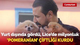 Yurt dışında gördü, Lice’de milyonluk ‘Pomeranian’ çiftliği kurdu